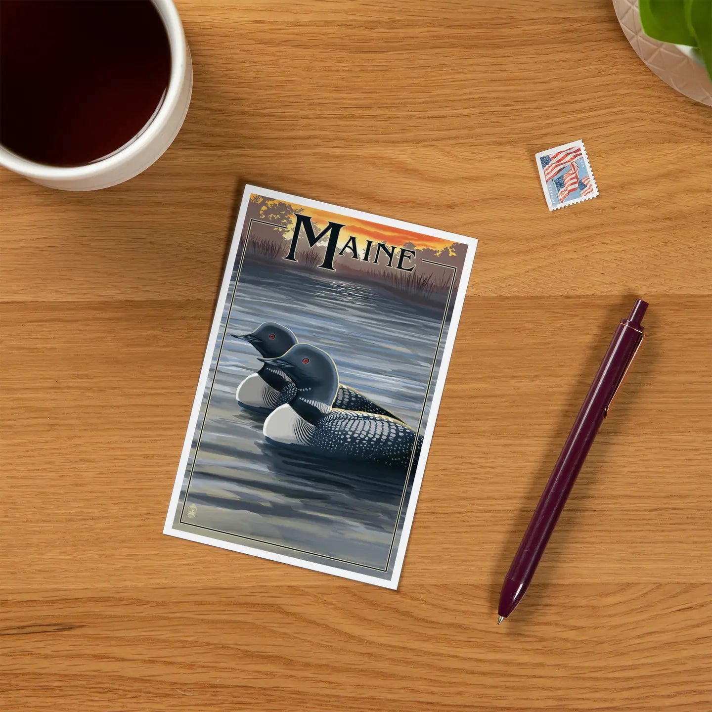 Maine Loon Postcard
