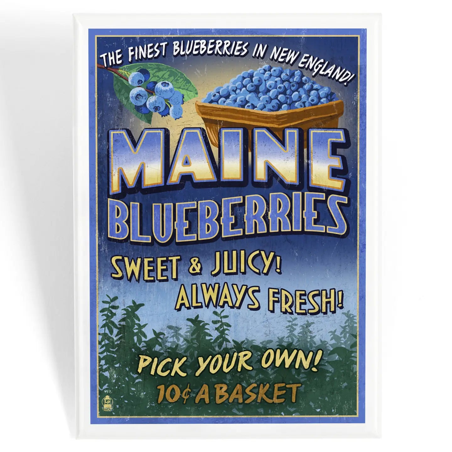 Blueberry Magnet