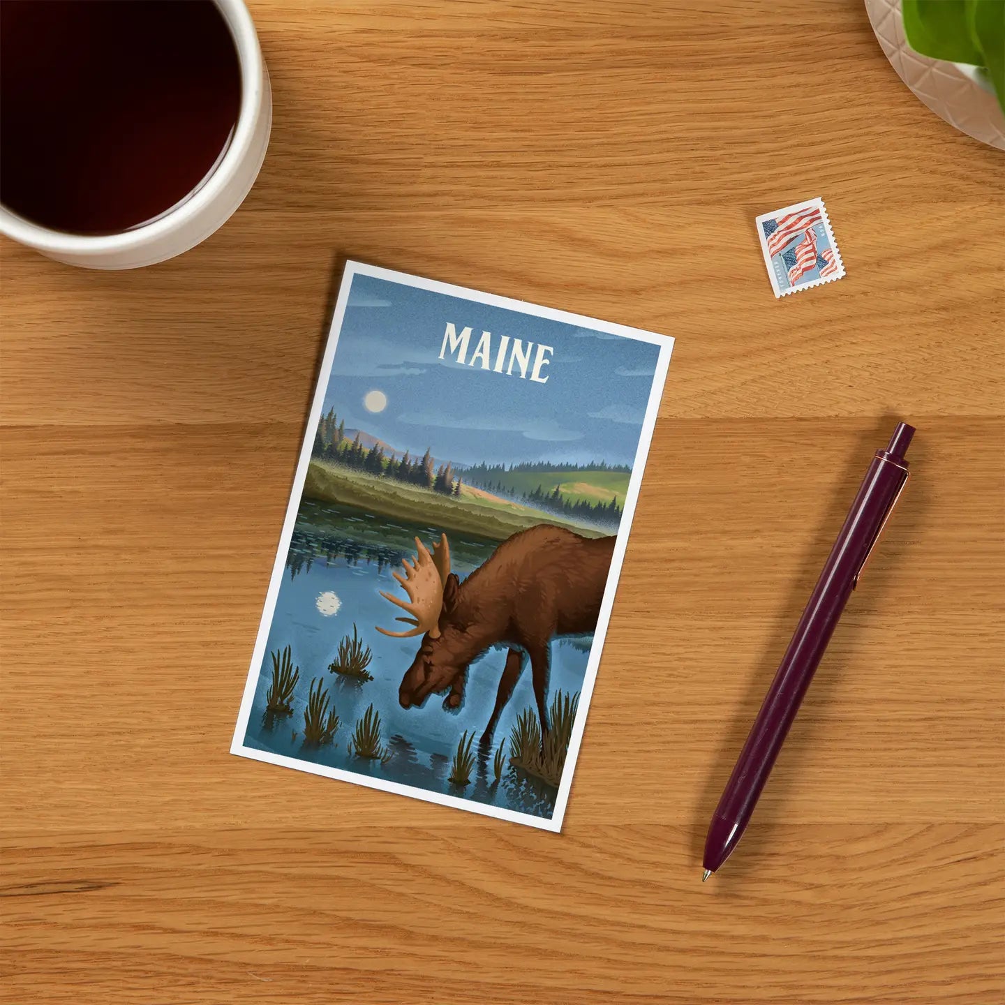 Maine Moose Postcard