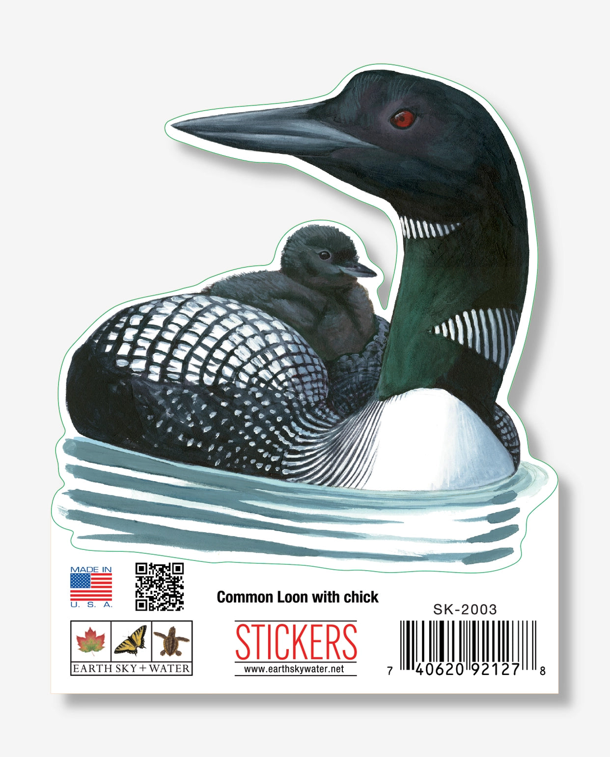Common Loon Nature Sticker