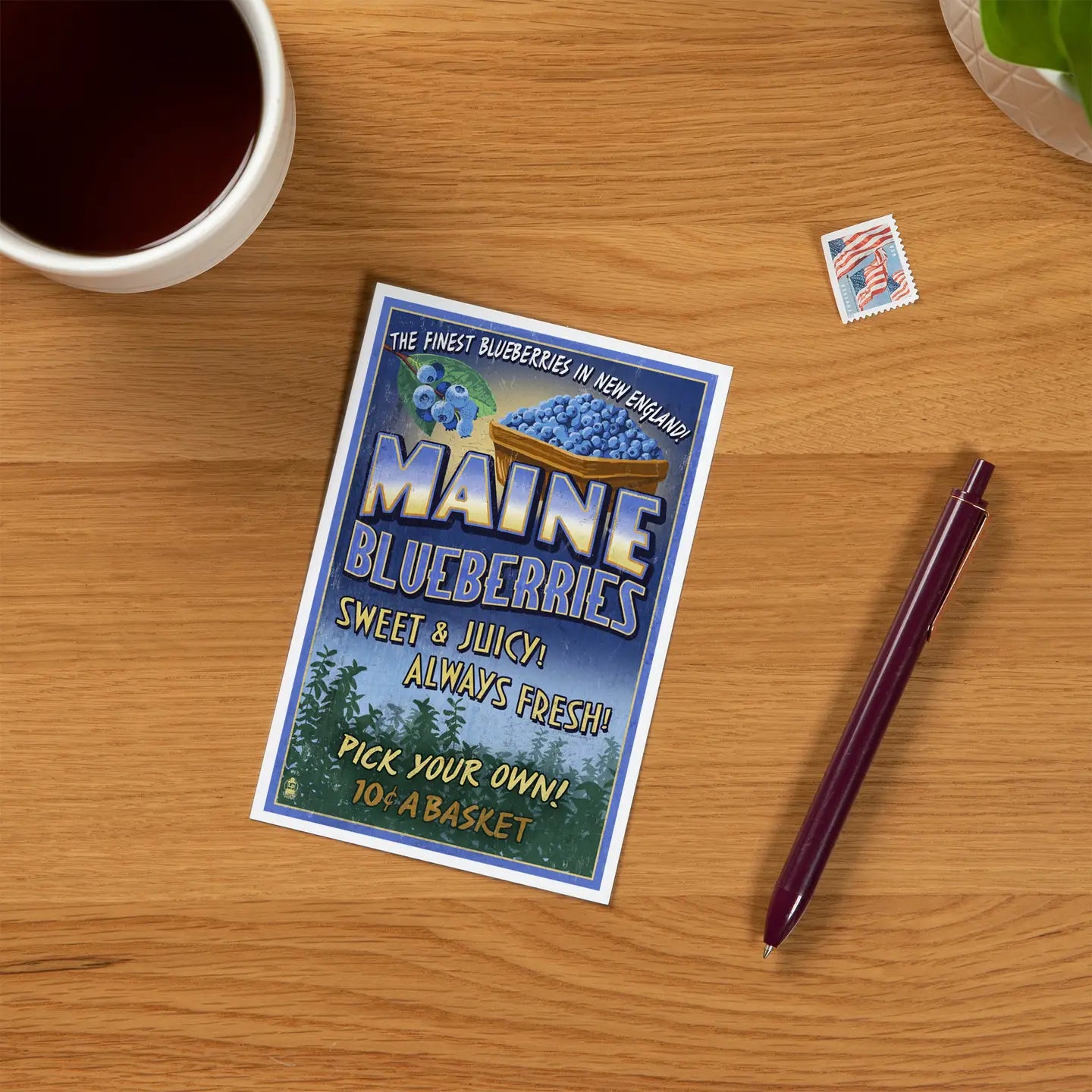 Maine Blueberry Postcard
