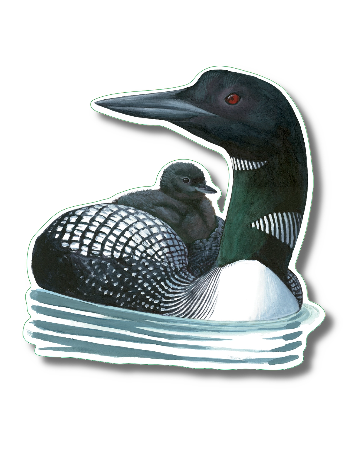 Common Loon Nature Sticker – The Not So Empty Nest