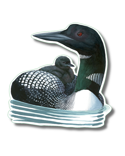 Common Loon Nature Sticker