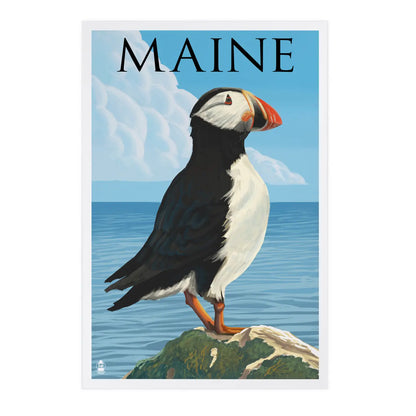 Maine Puffin Postcard